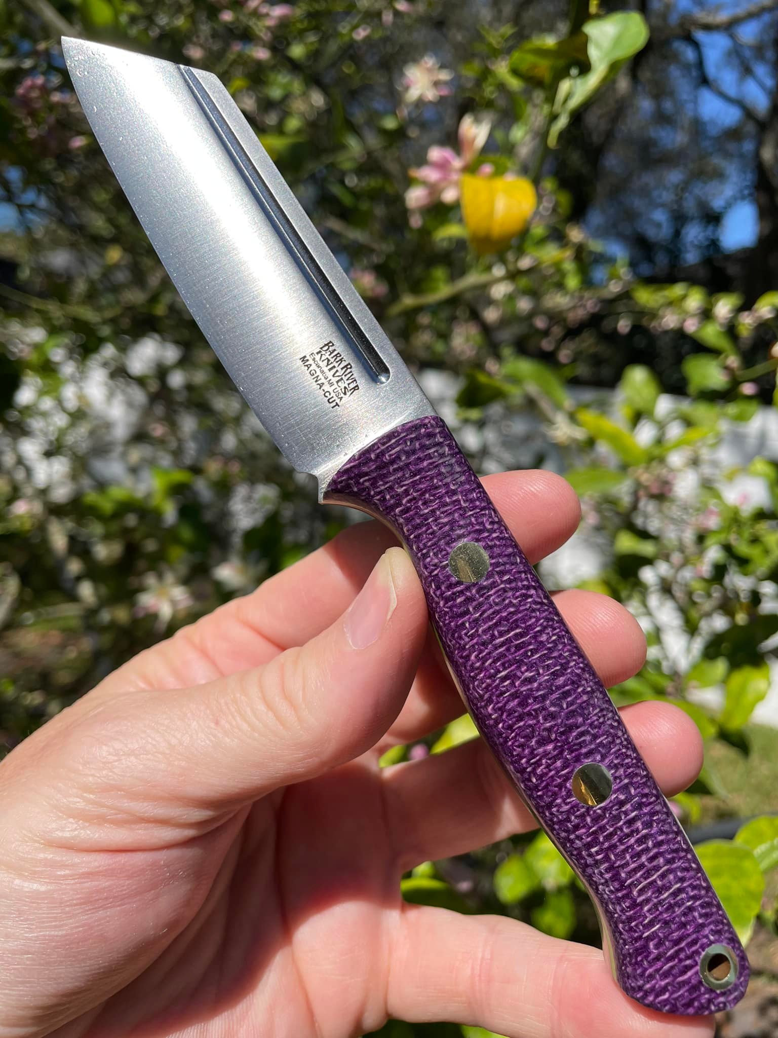 Bark River Taskmaster knife features