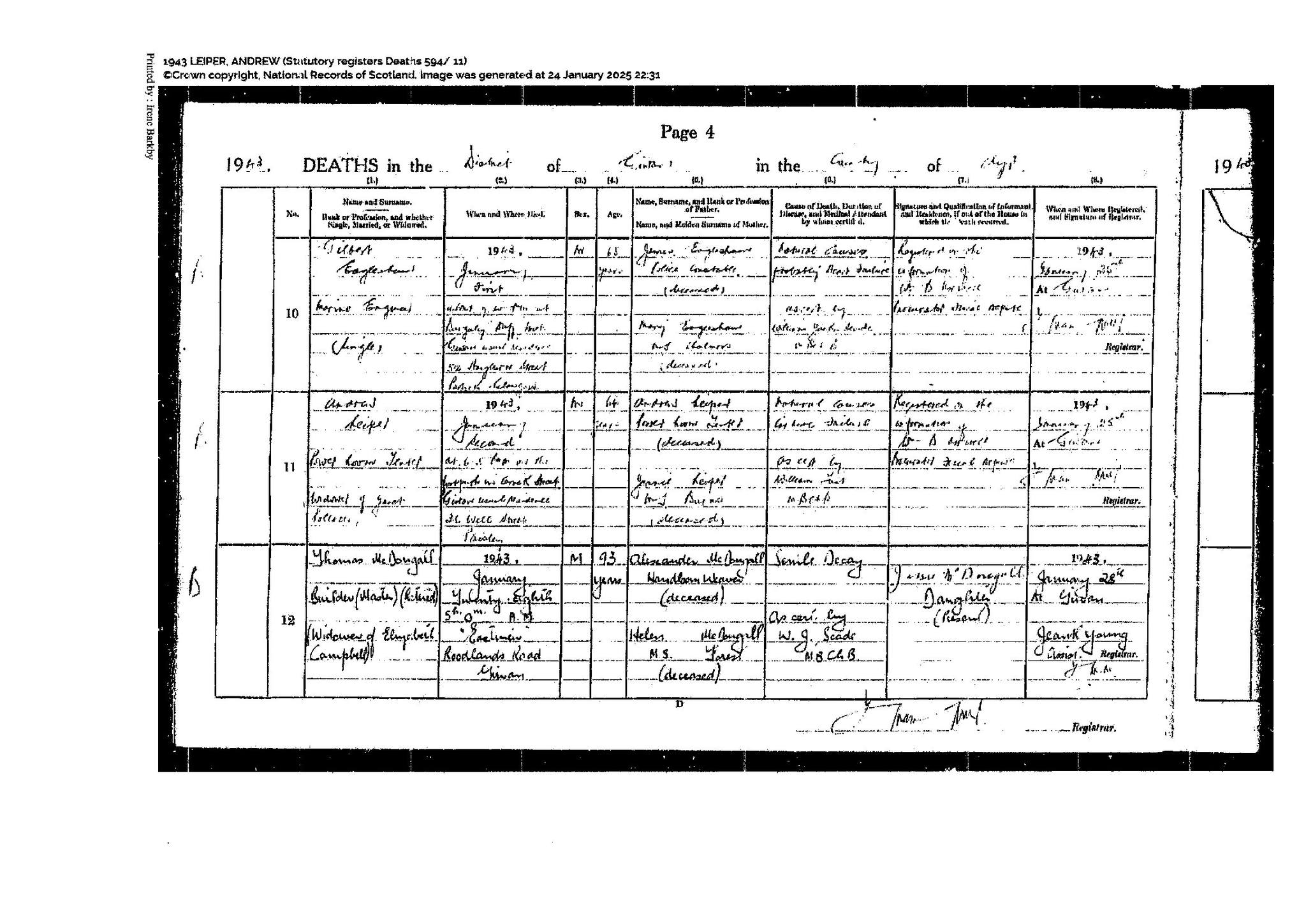 Pollock Family Tree