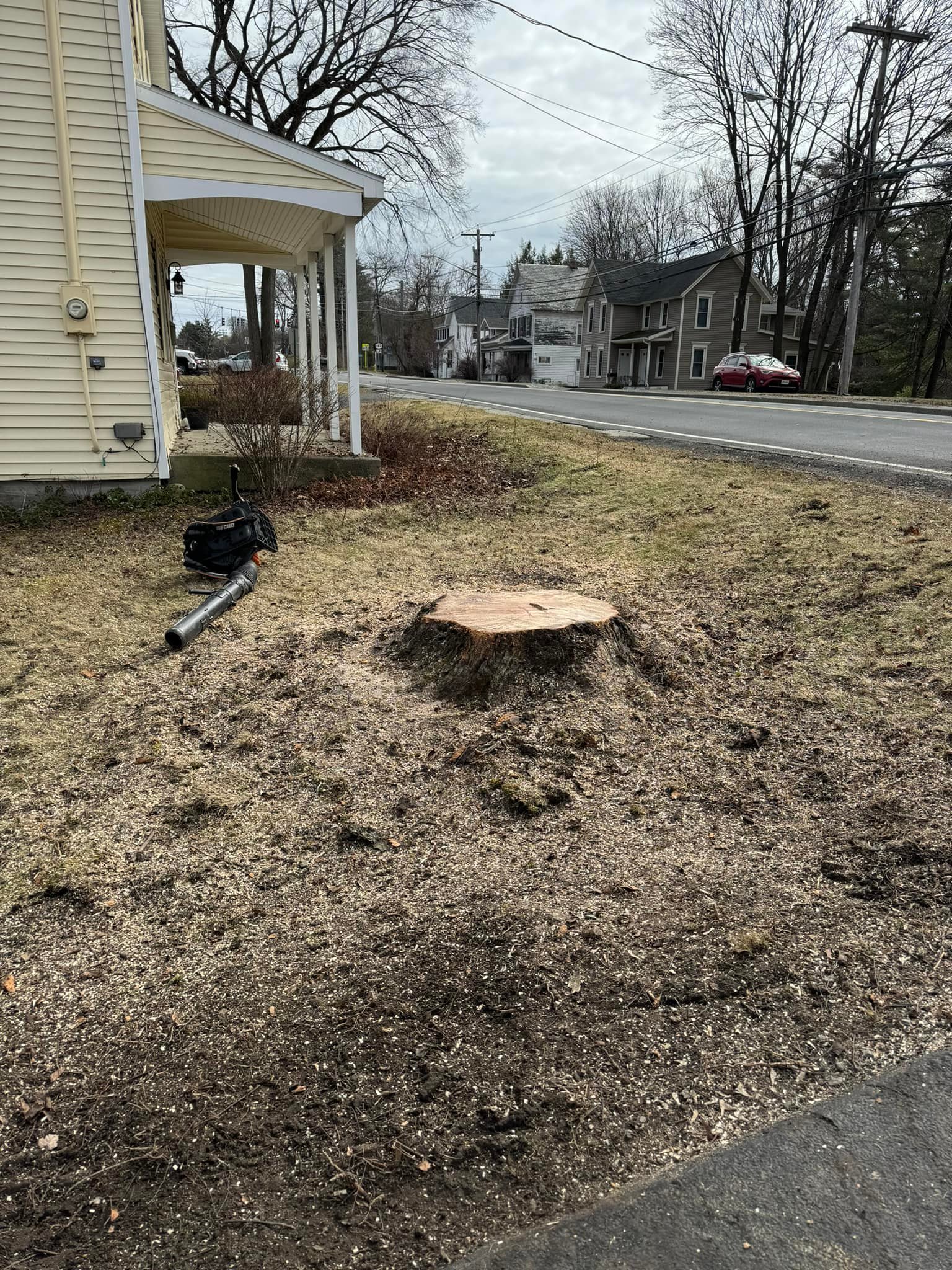 Top Notch Tree Care & Removal | Catskill NY