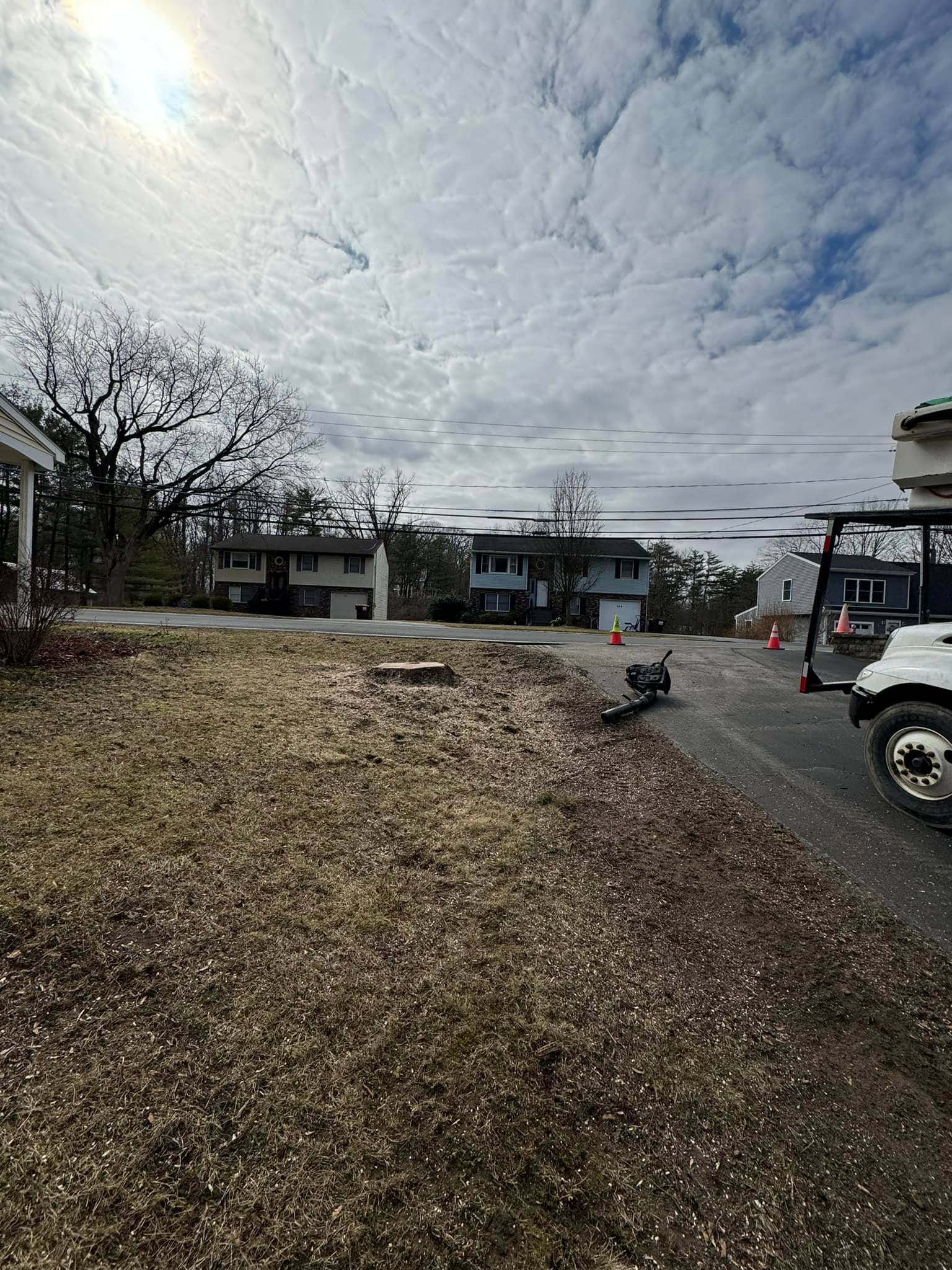 Top Notch Tree Care & Removal | Catskill NY