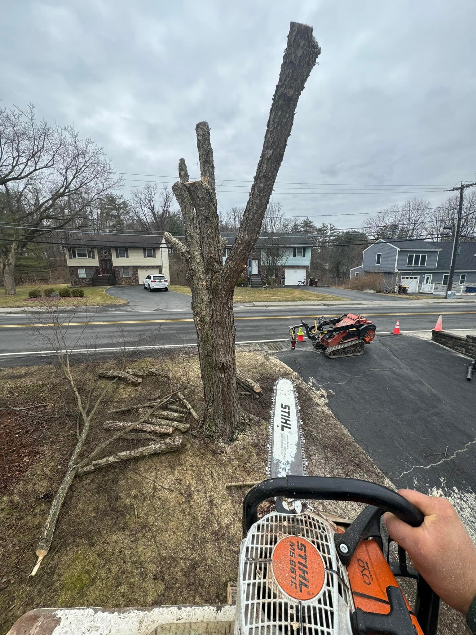 Top Notch Tree Care & Removal | Catskill NY