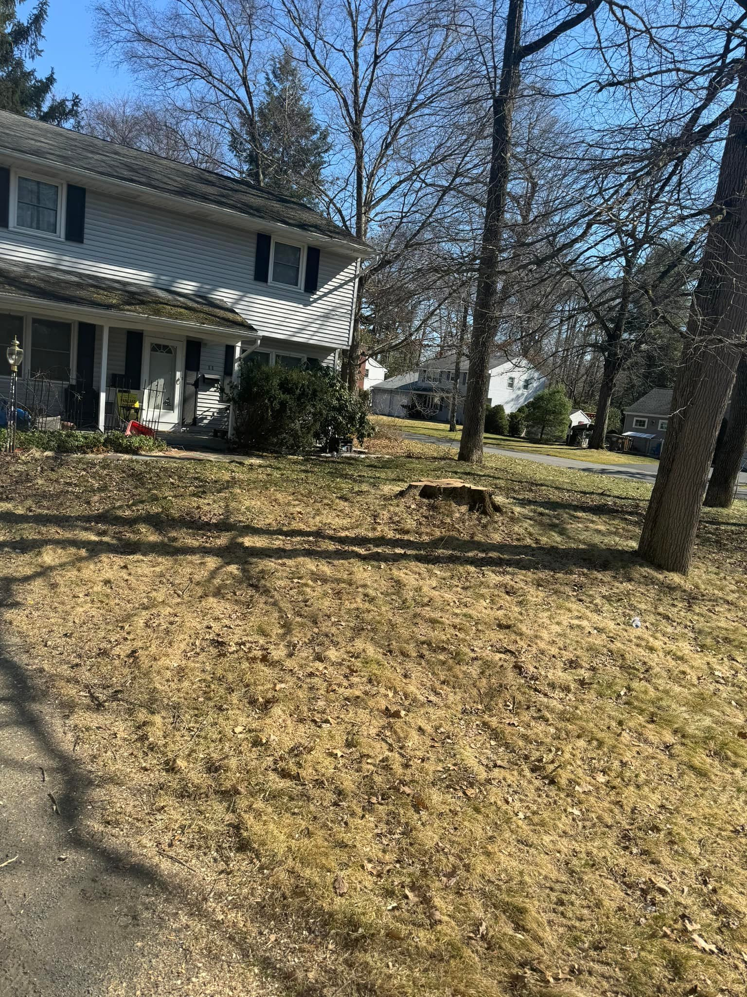 Top Notch Tree Care & Removal | Catskill NY