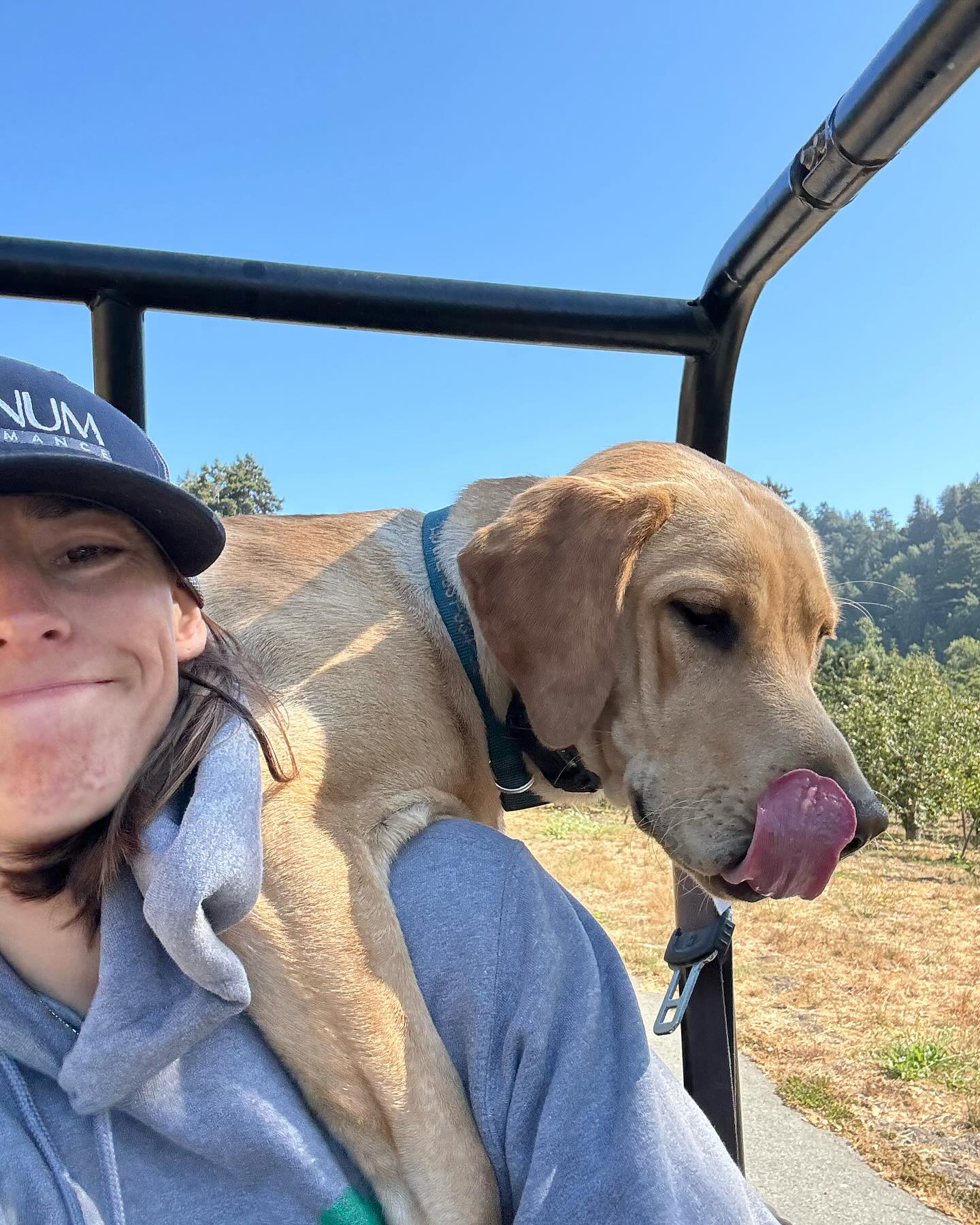 Everett Family Farm | Soquel CA
