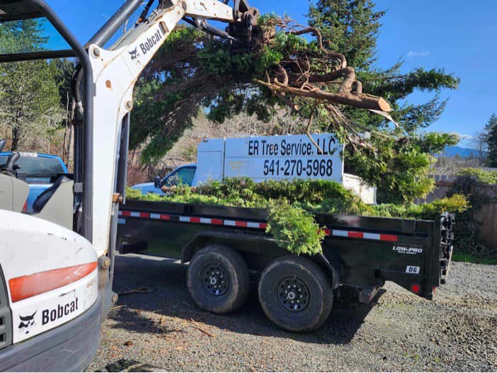 ER Tree Service LLC | Otis OR