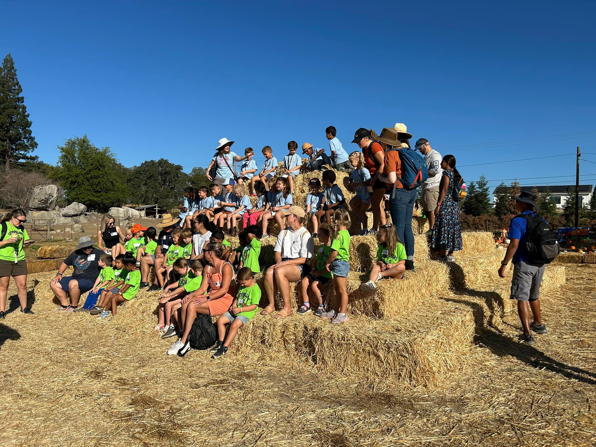 Rickey Ranch Pumpkin Patch | Granite Bay CA