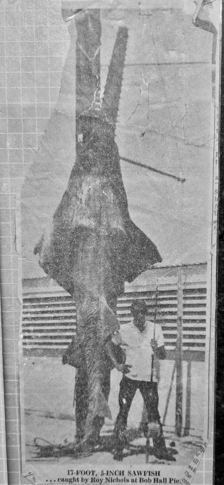 Roy Nichols caught this 17'5