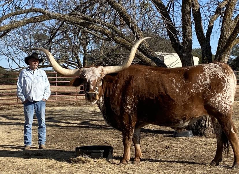 Windy Ridge Ranch | Cross Plains TX