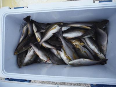 釣り大好き 最新釣果情報 和歌山県中部 江戸っ子丸 お土産になりました Facebook
