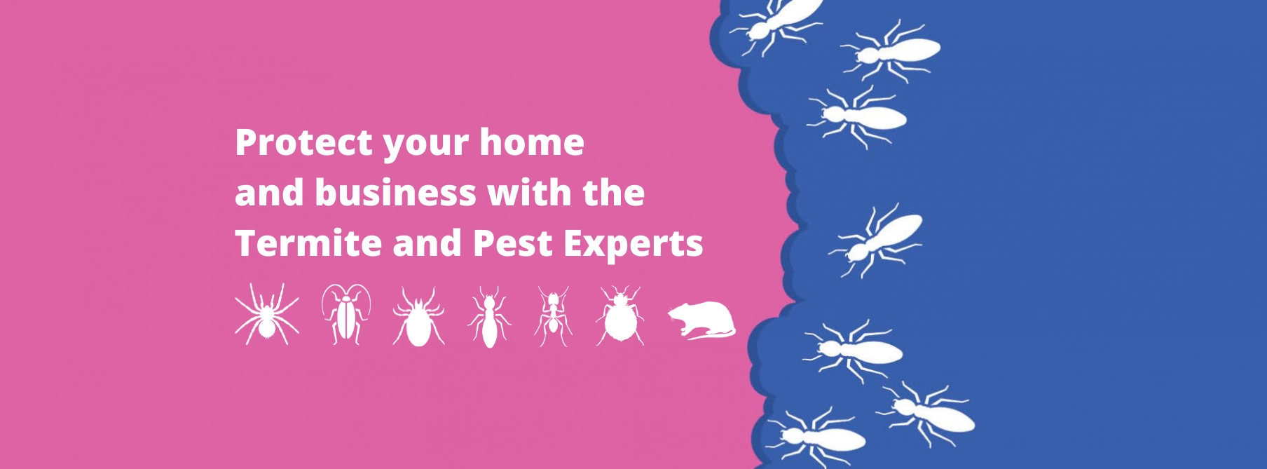 Pink Termite & Pest Experts | Caringbah NSW