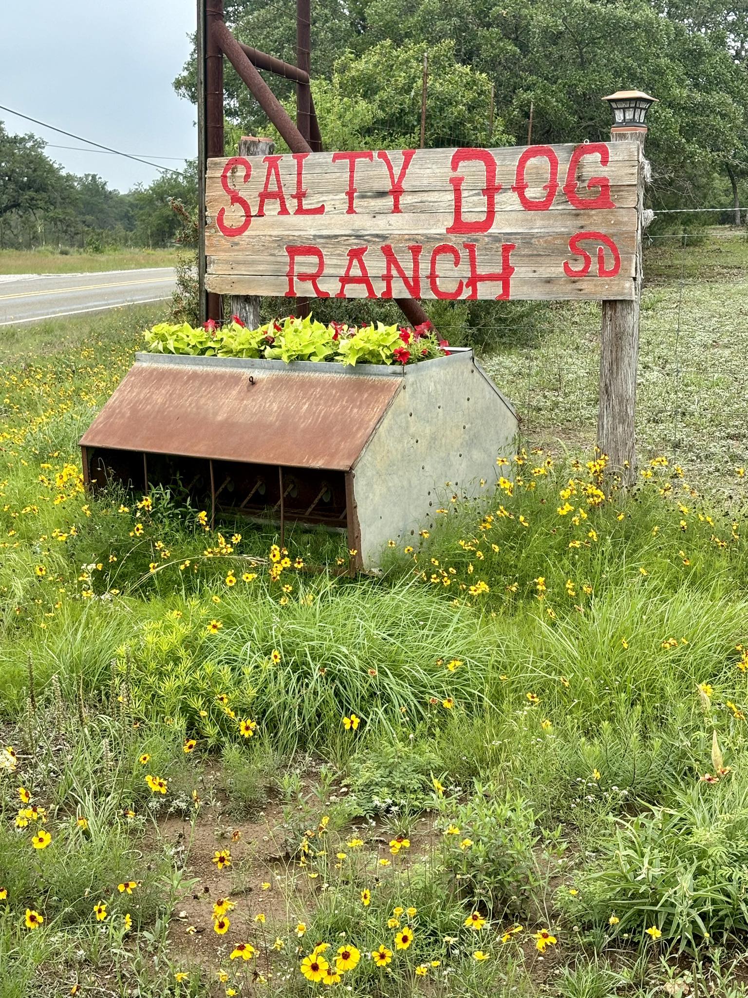 Salty Dog Ranch | Round Mountain TX