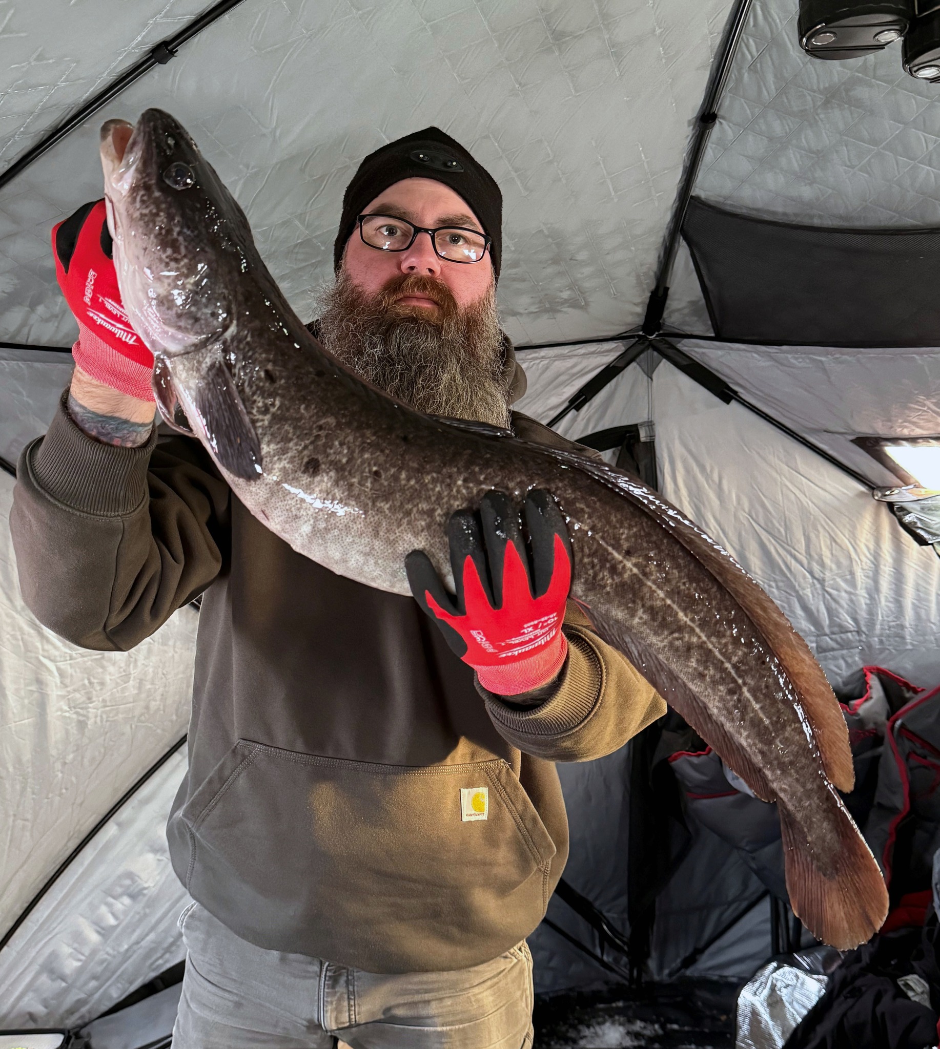🐟 Here’s another... - ADF&G - Sport Fishing Interior Alaska