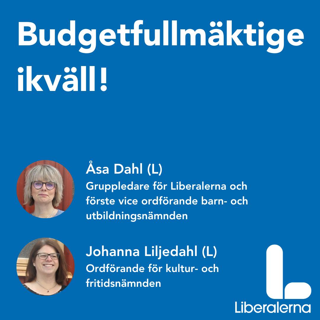 Rönningepartiet