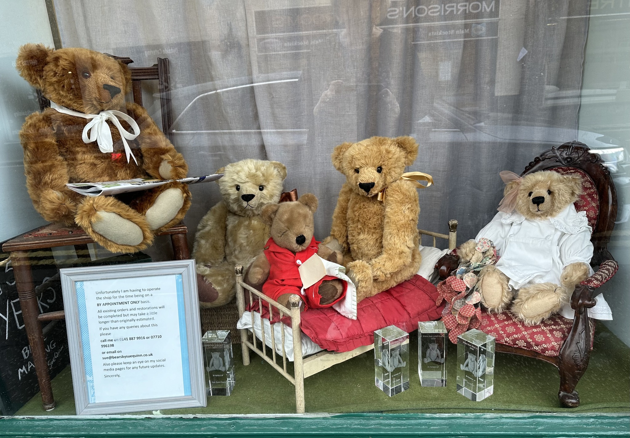 Bears by Sue Quinn (@SueQuinnBears) • Facebook