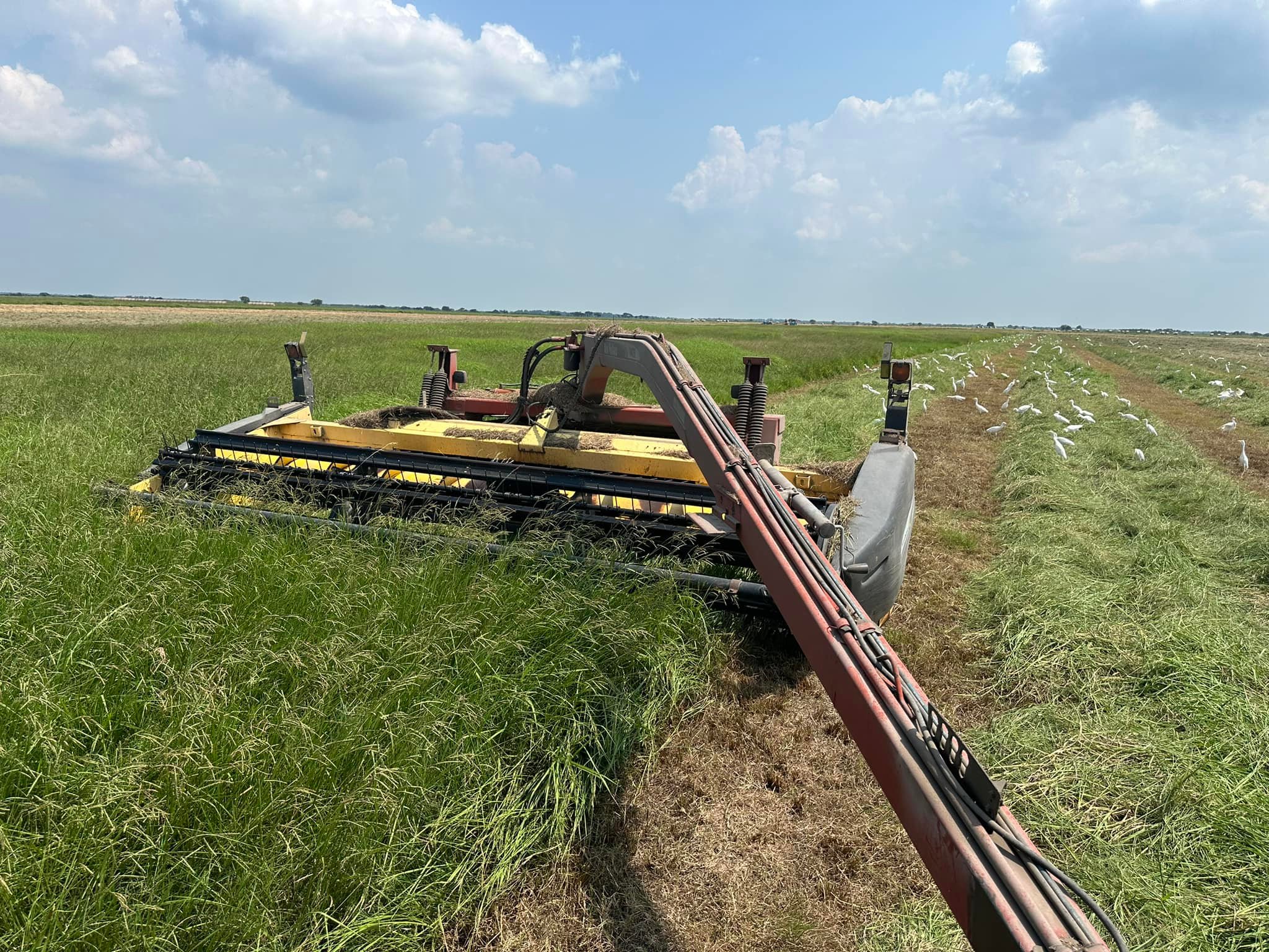 Rocking 711 Ranch | Edna TX