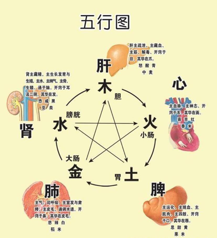人類圖高階研究 - 人類圖，把所有「情緒」歸納為情緒中心。 把人的喜怒哀樂都當作「情緒」。 今次以中醫觀點區分： 中醫五種情緒，入五行，入五臟 ...