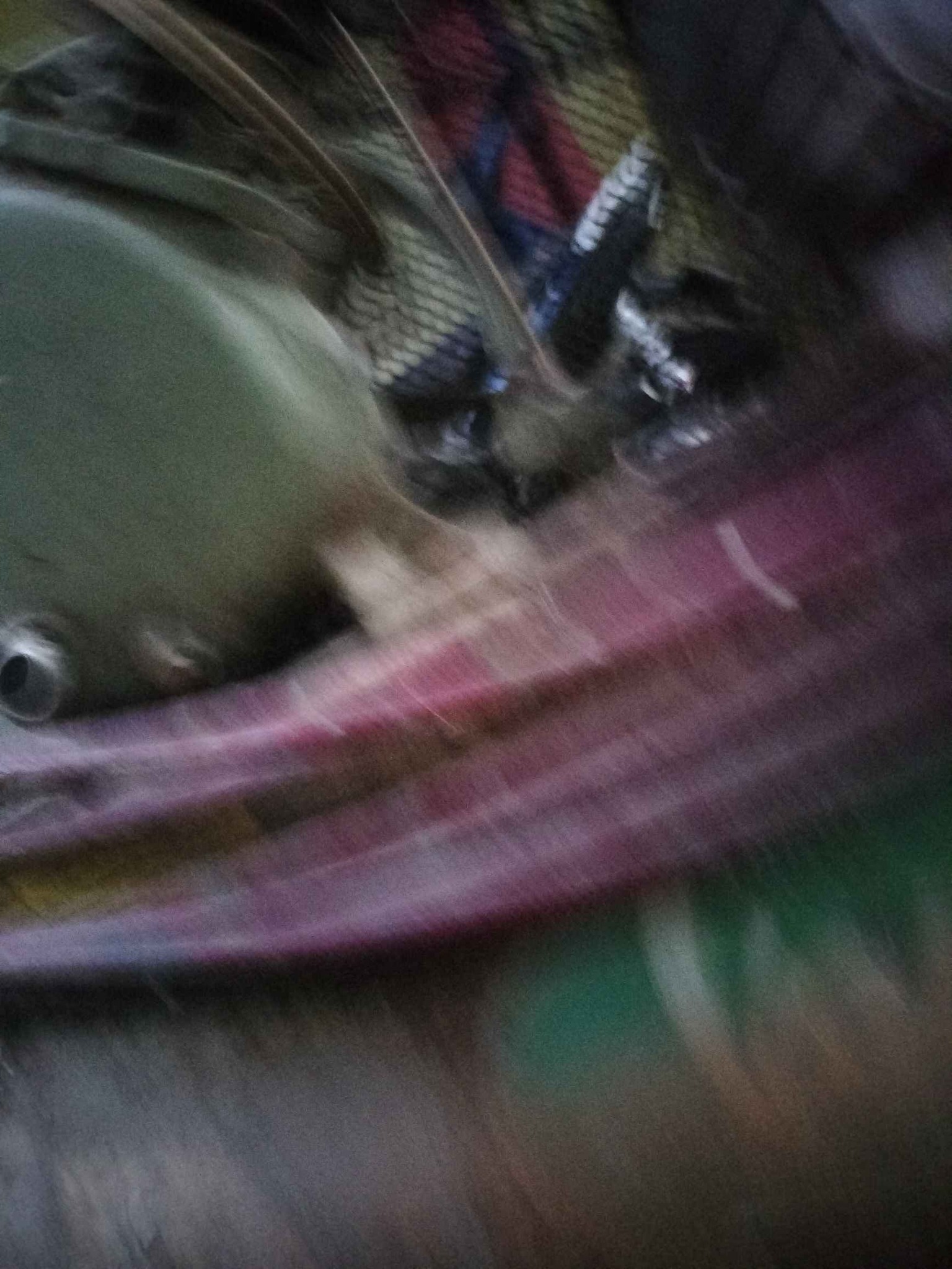 Compressor 2nd hand - Air Compressors - Pasig | Facebook Marketplace ...