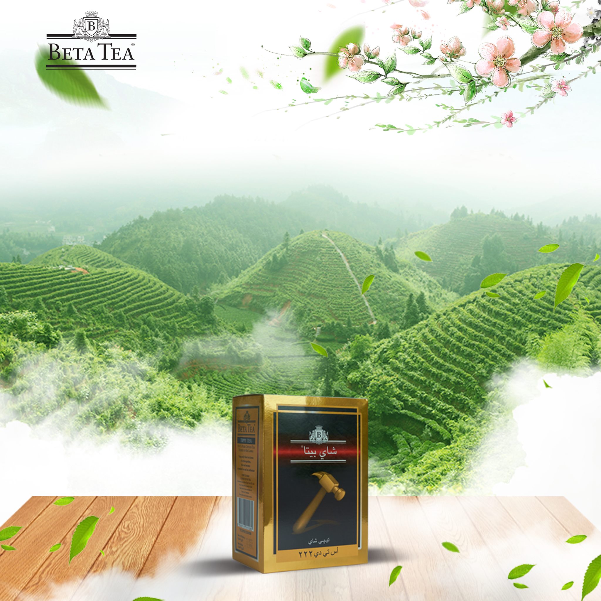 Beta TEA Iraq
