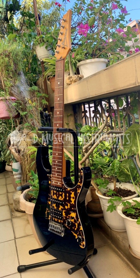 D—A—D Musical Instruments from Japan | Cainta