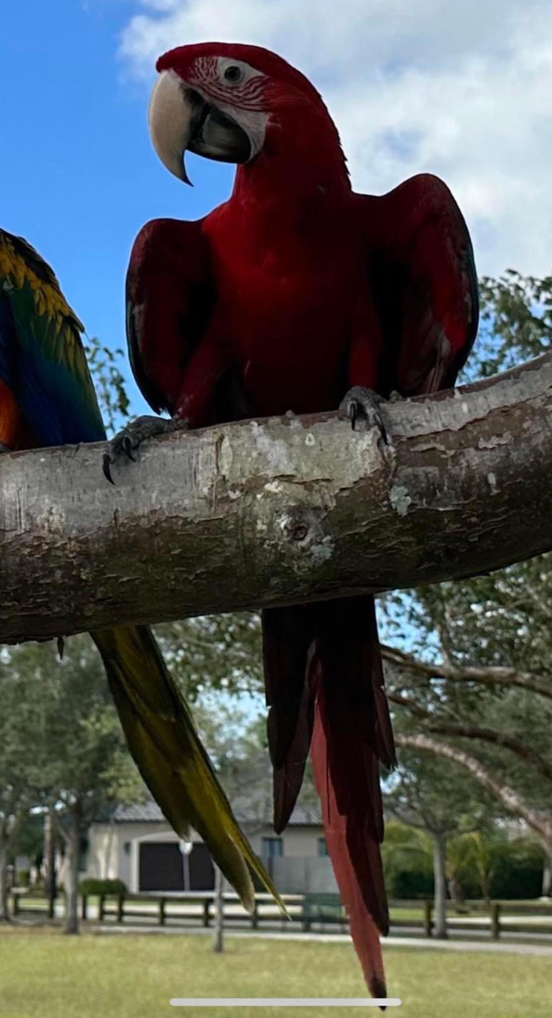 A friend is missing. Please help us find him. Cutler Bay, Florida