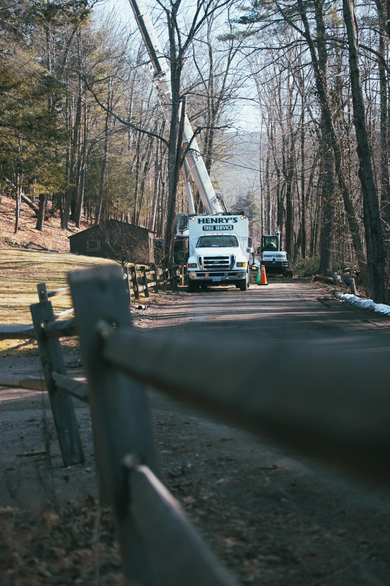 Henry’s Tree Service LLC | Monson MA