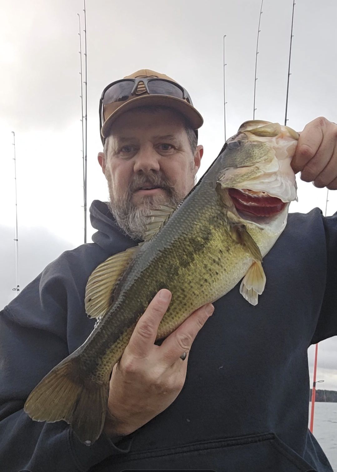 fenwick vs cashion vs g loomis fishing rods Elite Inshore Casting Rod, Carbon The new Fenwick Elite series is our most complete series of technique specific fishing rods to date Fenwick 2023 Rod Preview #fenwickrods