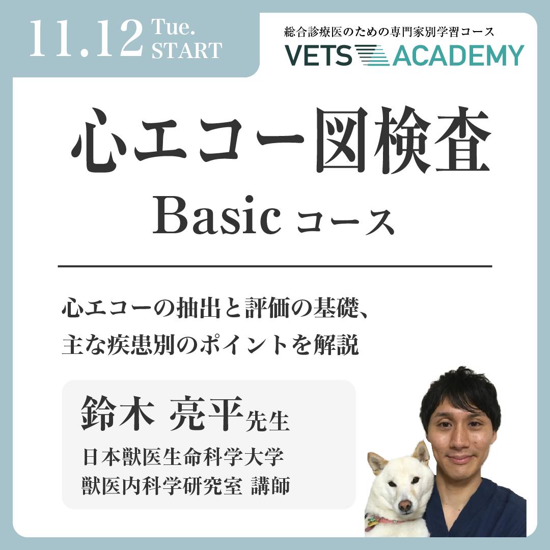 犬と猫の循環器の検査 4 💁‍♀️心エコーの抽出と評価の基礎、主な疾患別のポイントを解説