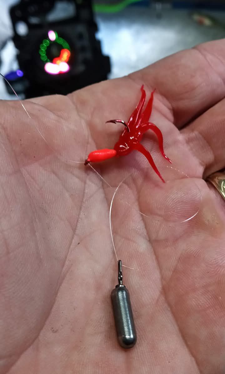 bloodworms fish hook Instinct Pro Bloodworm Red Value Pack – Tackle World the turned in hook point aids in hook setting while the extra Bloodworm Rubber Bands Fishing DECHOUS