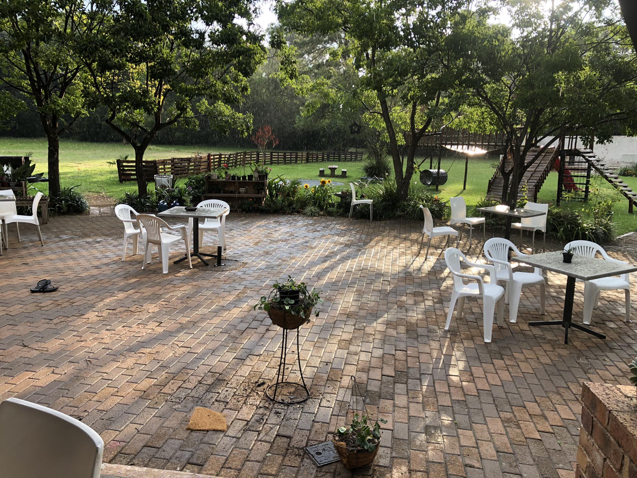 Creaky Tree Cafe & Functions Venue | Johannesburg