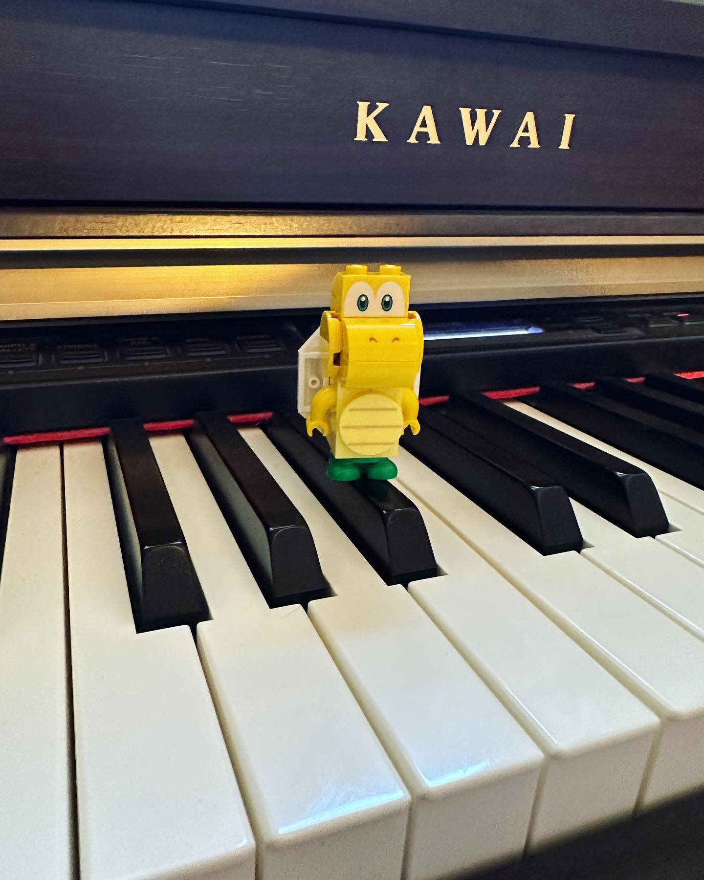 Cooper the Turtle helping us... - Beth's Home Piano Lessons | Facebook
