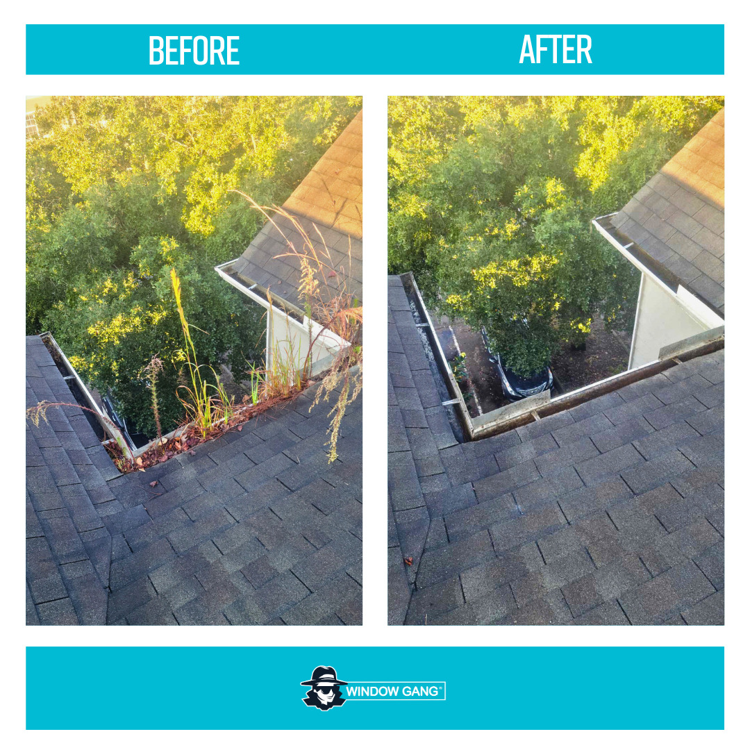 Window - Check out this stunning before and after of gutter cleaning by ...