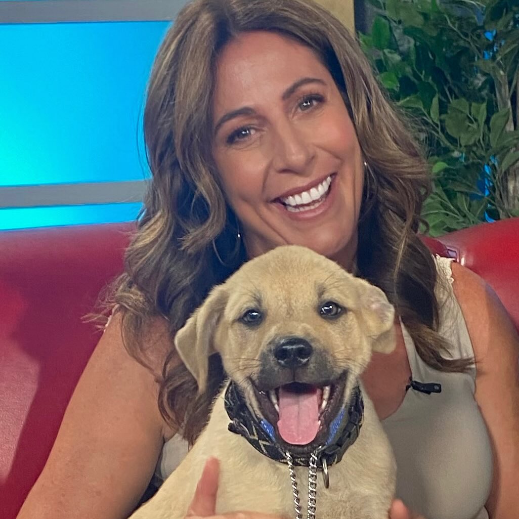 Emily - Reason #1537 why I love my job. . . . Starsky and Hutch are up ...