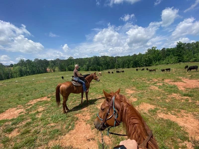 Callidora Ranch Adventures | Madison GA