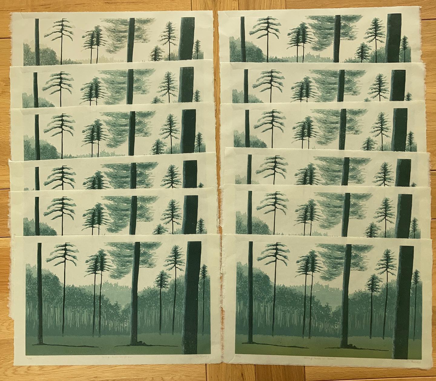 Editioning this one ready to start... - Jo Boddy - Printmaker