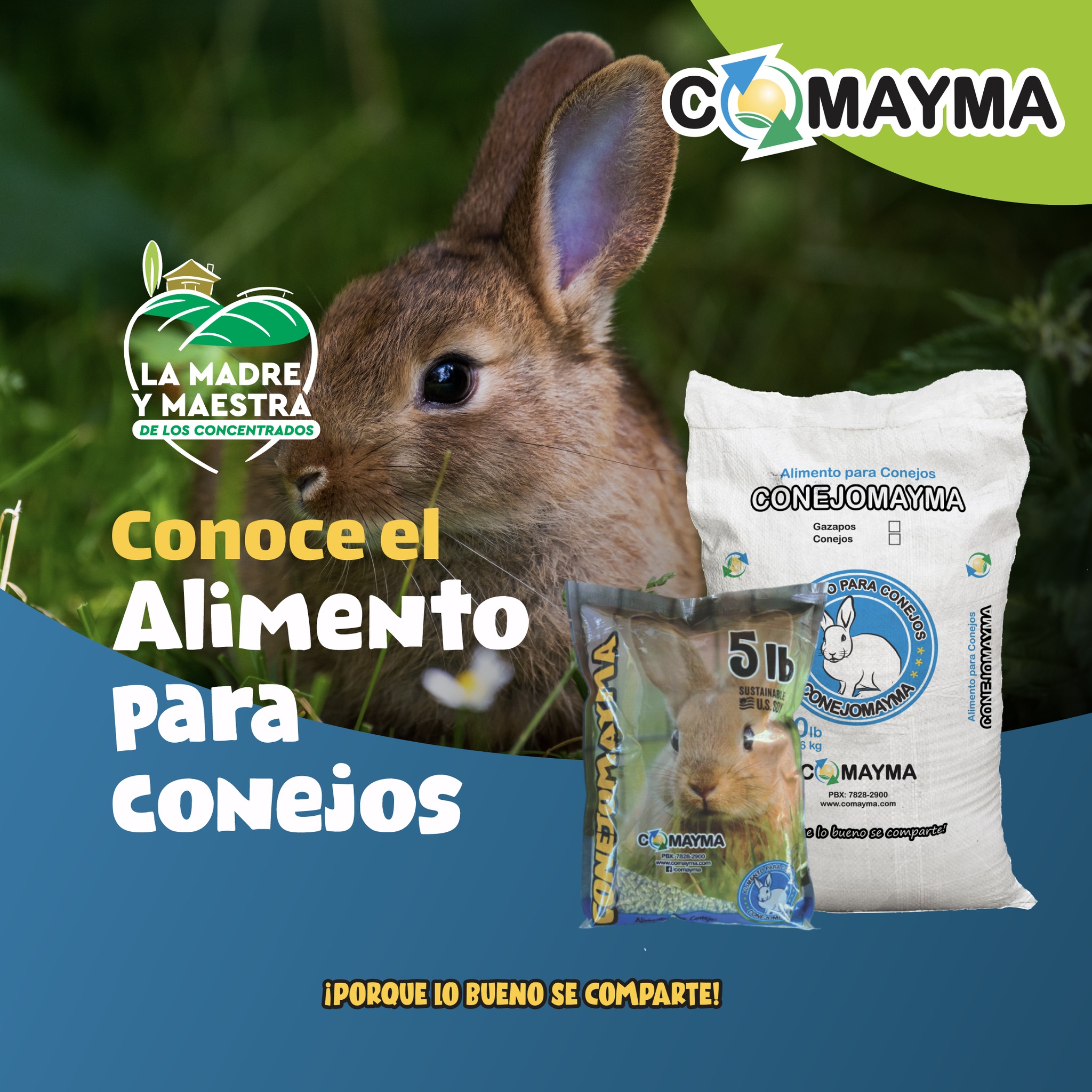 🐰 Conoce las soluciones... - Cooperativa Madre y Maestra R.L.