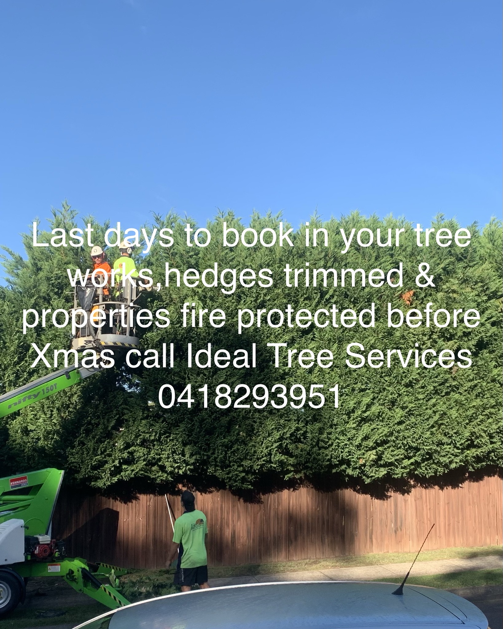 Ideal tree services 0418293951