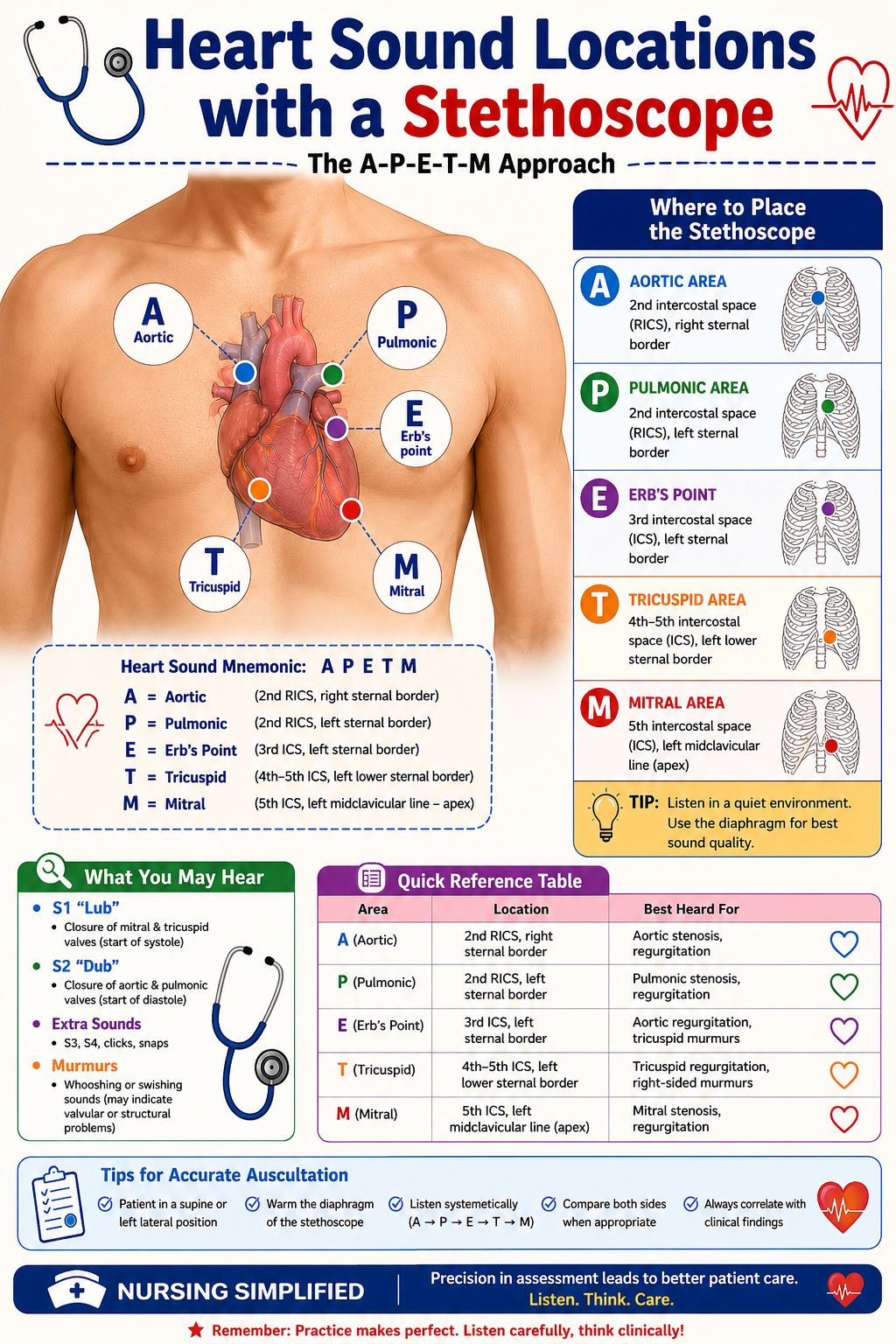 Mastering cardiac auscultation landmarks for heart valve assessment