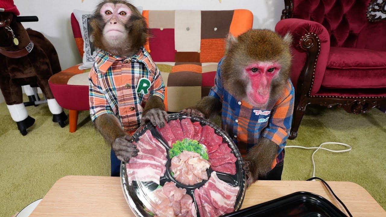 ☆動画公開☆ えええええ！？ 「お猿さんに「焼肉」をあげたら…専門家