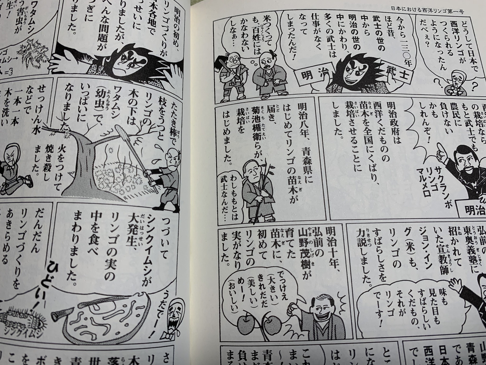 🍏🍏🍏 青森りんご歴史伝承家 木浪真由美です。 『木浪真由美 的「青森