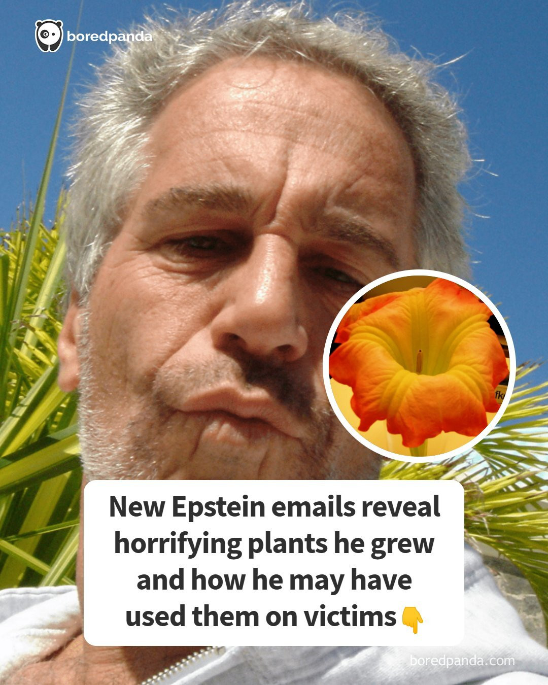 Crafty - New Epstein emails reveal horrifying plants he grew and how he ...