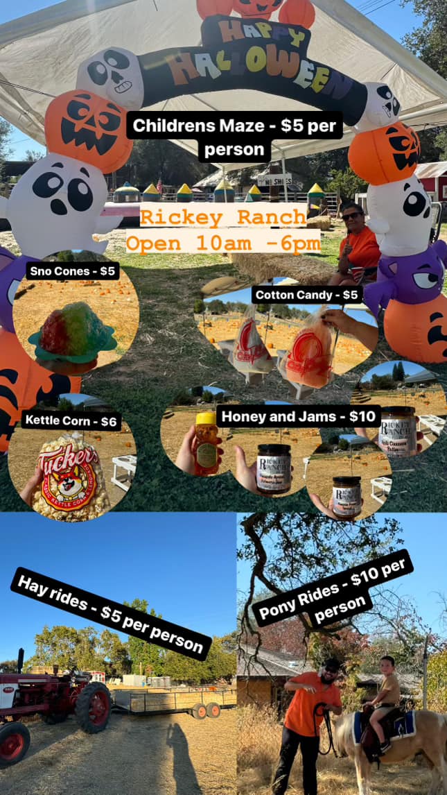 Rickey Ranch Pumpkin Patch | Granite Bay CA