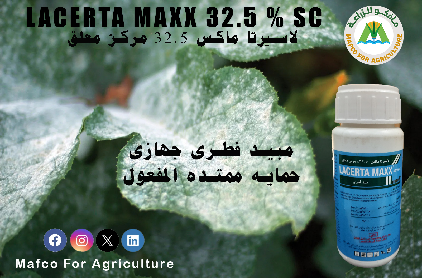 Mafco For Agriculture - مافكو للزراعة | Alexandria