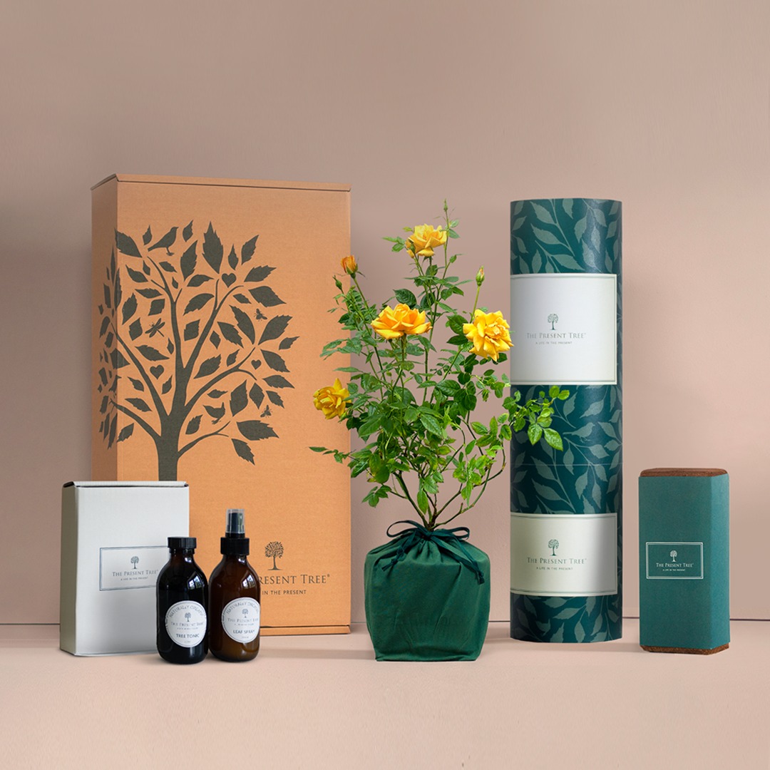 🌿 The perfect gift to really impress!... - The Present Tree | Facebook