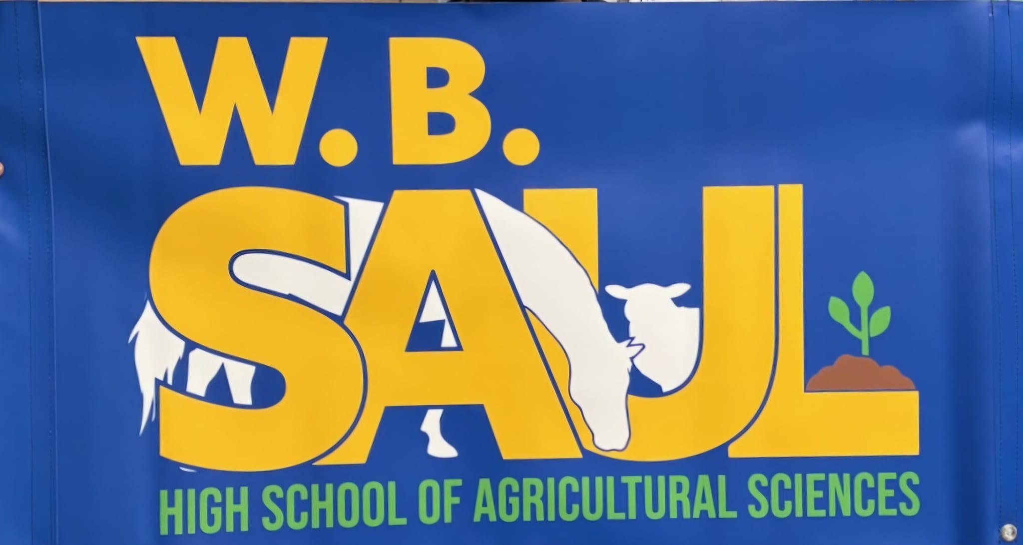 WB Saul Alumni