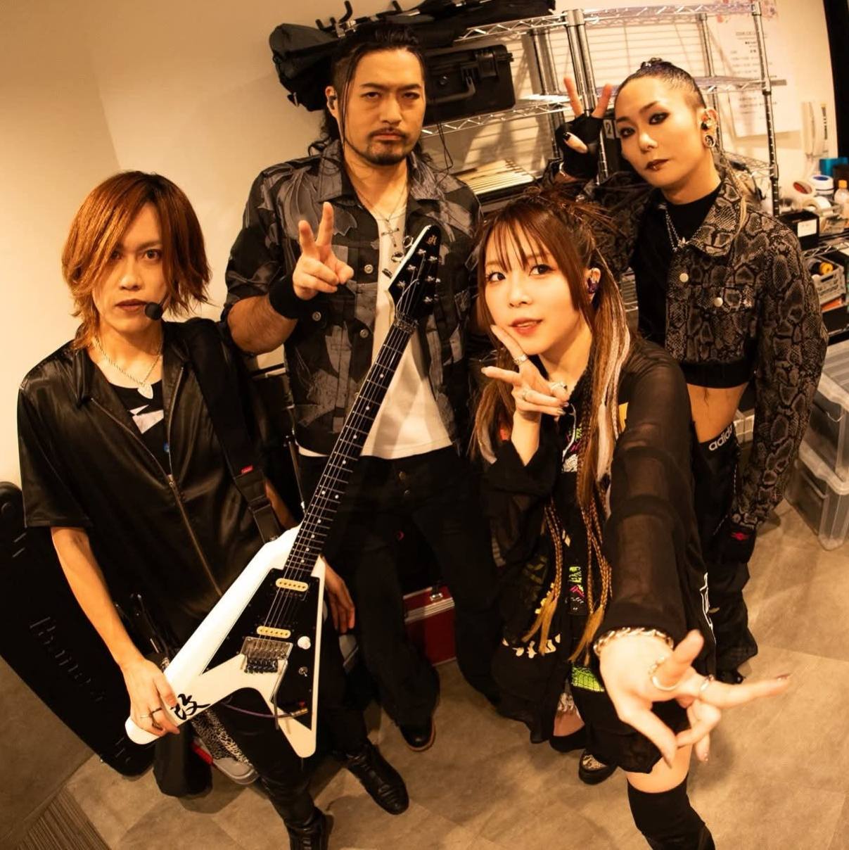 邦楽 DESTROSE/Mardelas