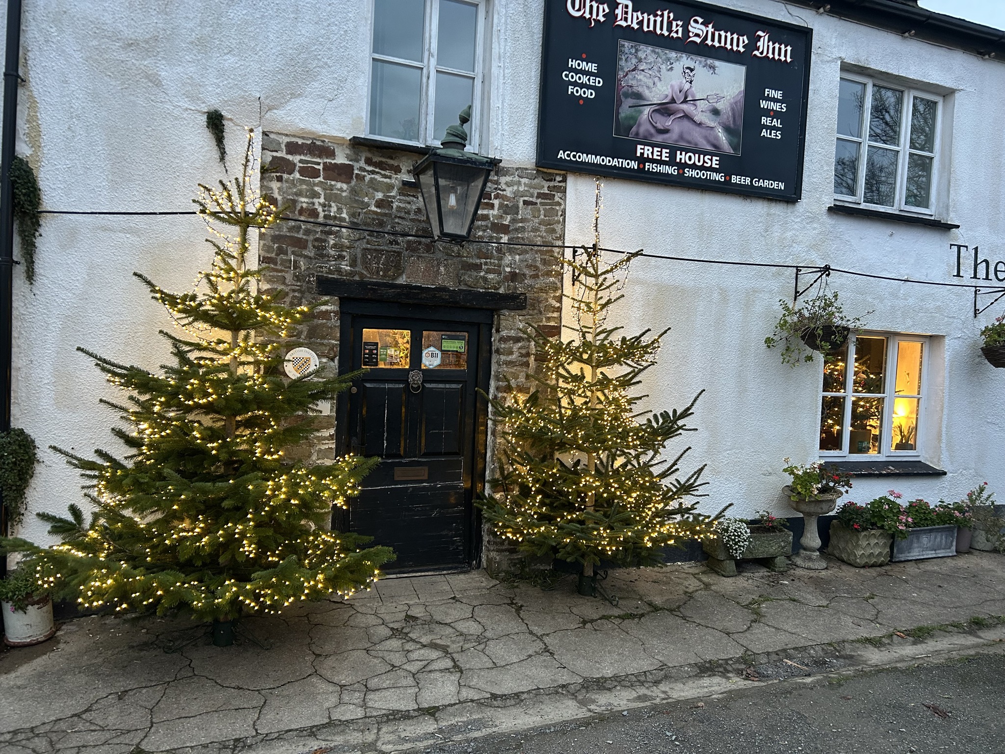 The Devil's - The twinkly trees are back! These two beauties are from ...