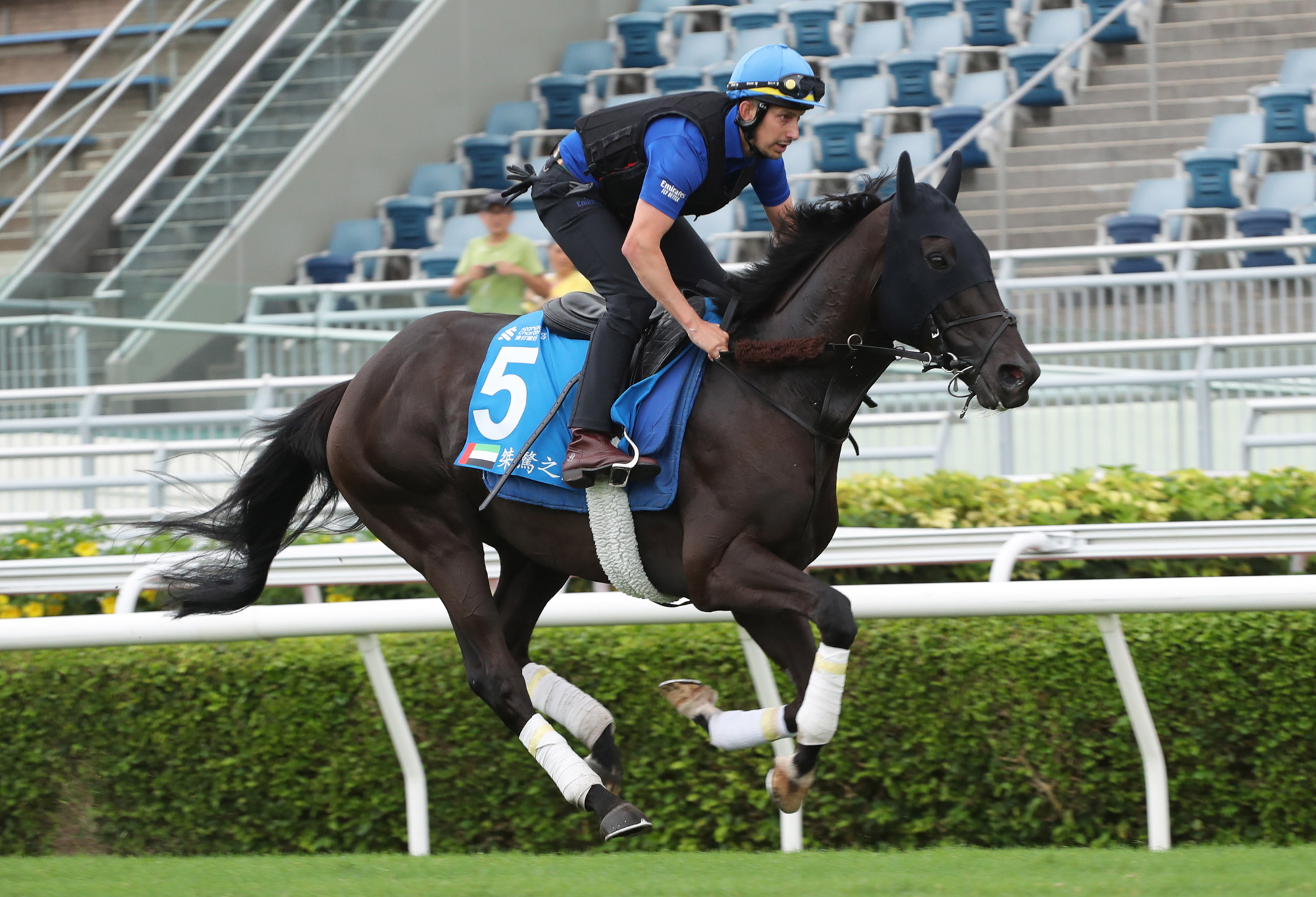 HKJC Racing - 渣打冠軍暨遮打盃排位出爐 「將王」排一檔起步 「桀驁之戀」八檔出閘... | Facebook