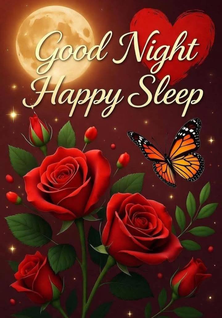 Good night 🌹💖🌷💕