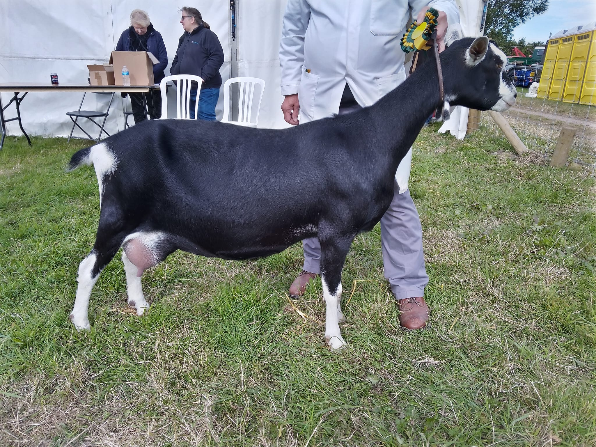 British Alpine Breed... - British Alpine Breed Society