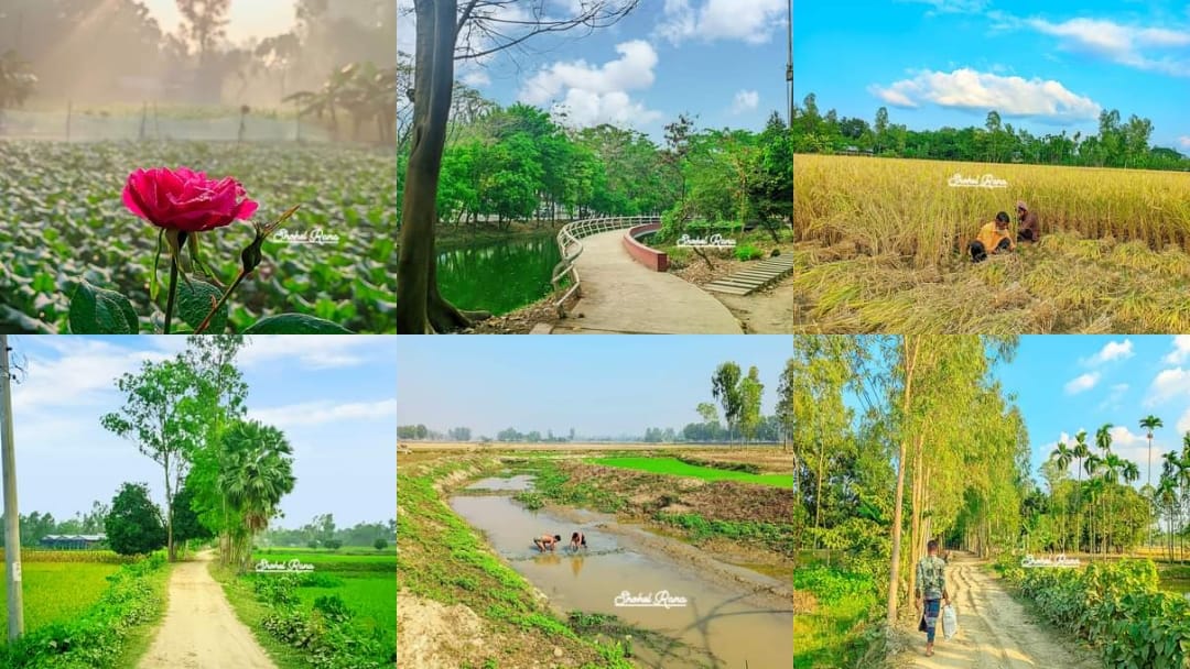 Shohel Rana | Tangail