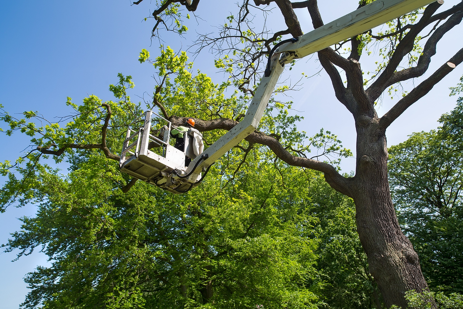 Boulay Landscaping | Wells ME